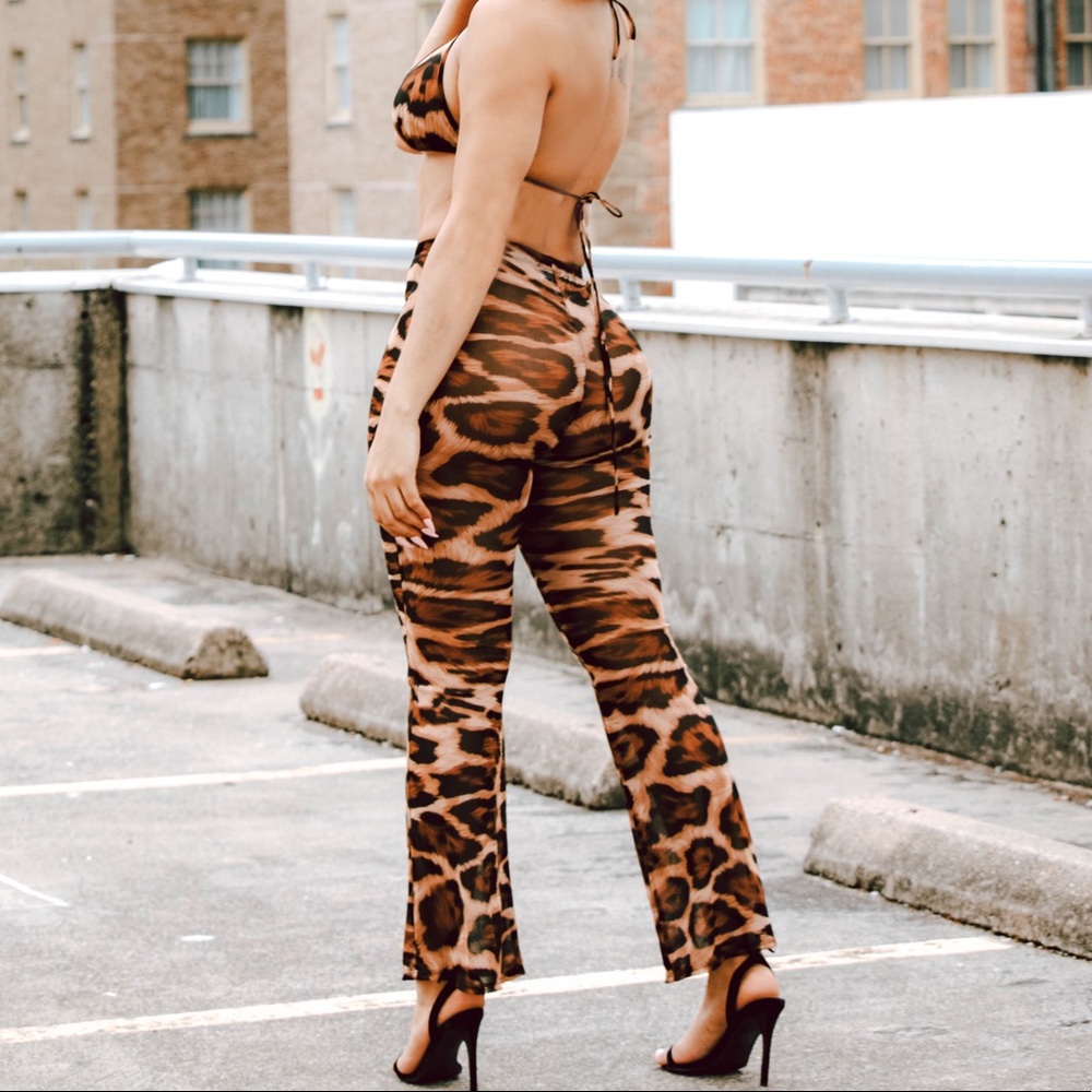 Two Piece Animal Print Pants Set